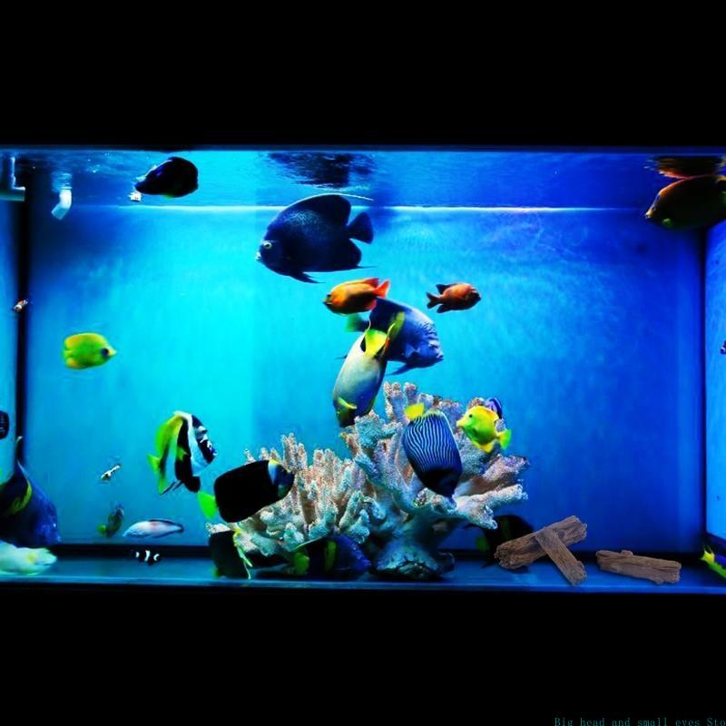 Aquarium Decoration Tree Trunk - огляд і ціна Aquarium Moss