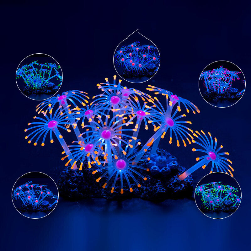 Silicone Glowing Landscape Art - огляд і ціна Live Plant Aquarium