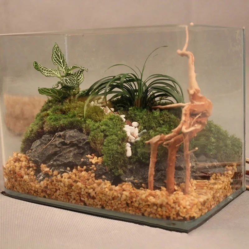 Natural Tree Trunk Driftwood A - огляд і ціна Live Plant Aquarium
