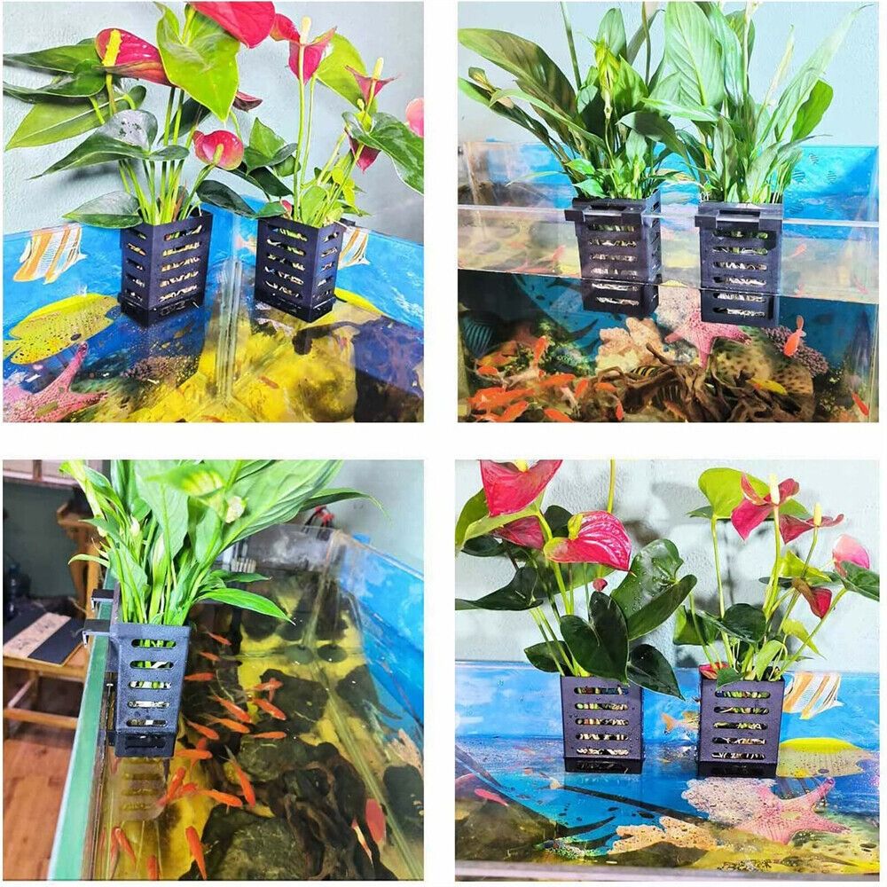 Aquarium Fish Tank Plant Holde - огляд і ціна Aquarium Plant Holder