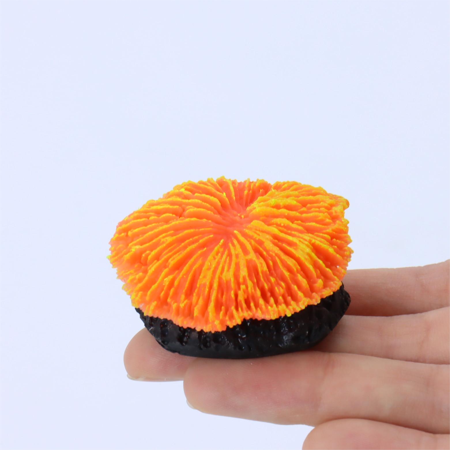 1 Piece Aquarium Decoration Sa - огляд і ціна Live Plant Aquarium