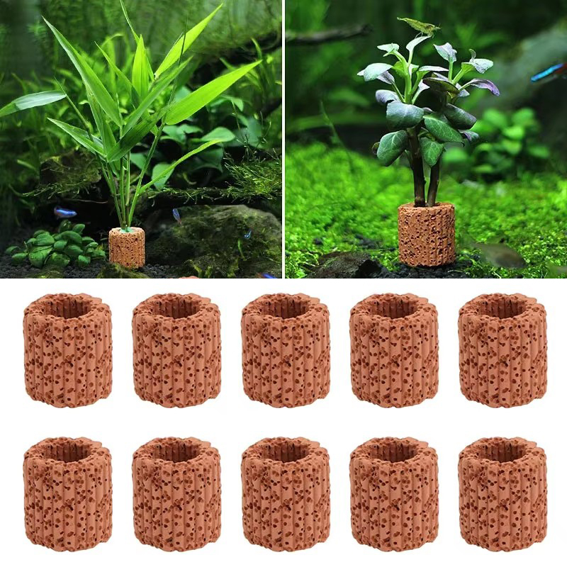 Aquatic Plant Fixed Ring for A - огляд і ціна Aquarium Plants Live