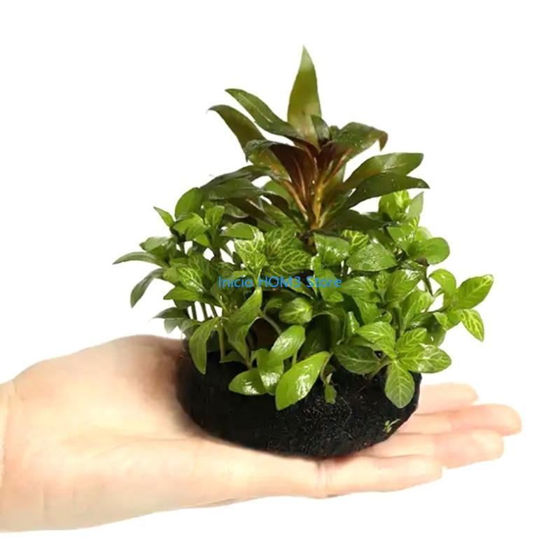 A5YD High Performances Aquariu - огляд і ціна Aquarium Plant Substrate