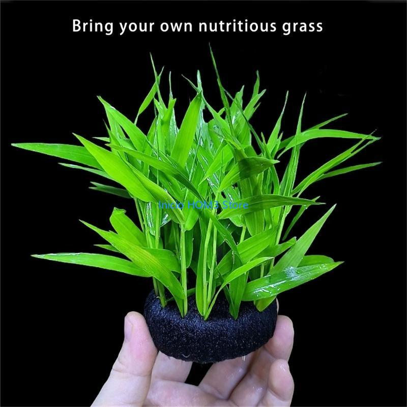 A5YD High Performances Aquariu - огляд і ціна Aquarium Plant Substrate