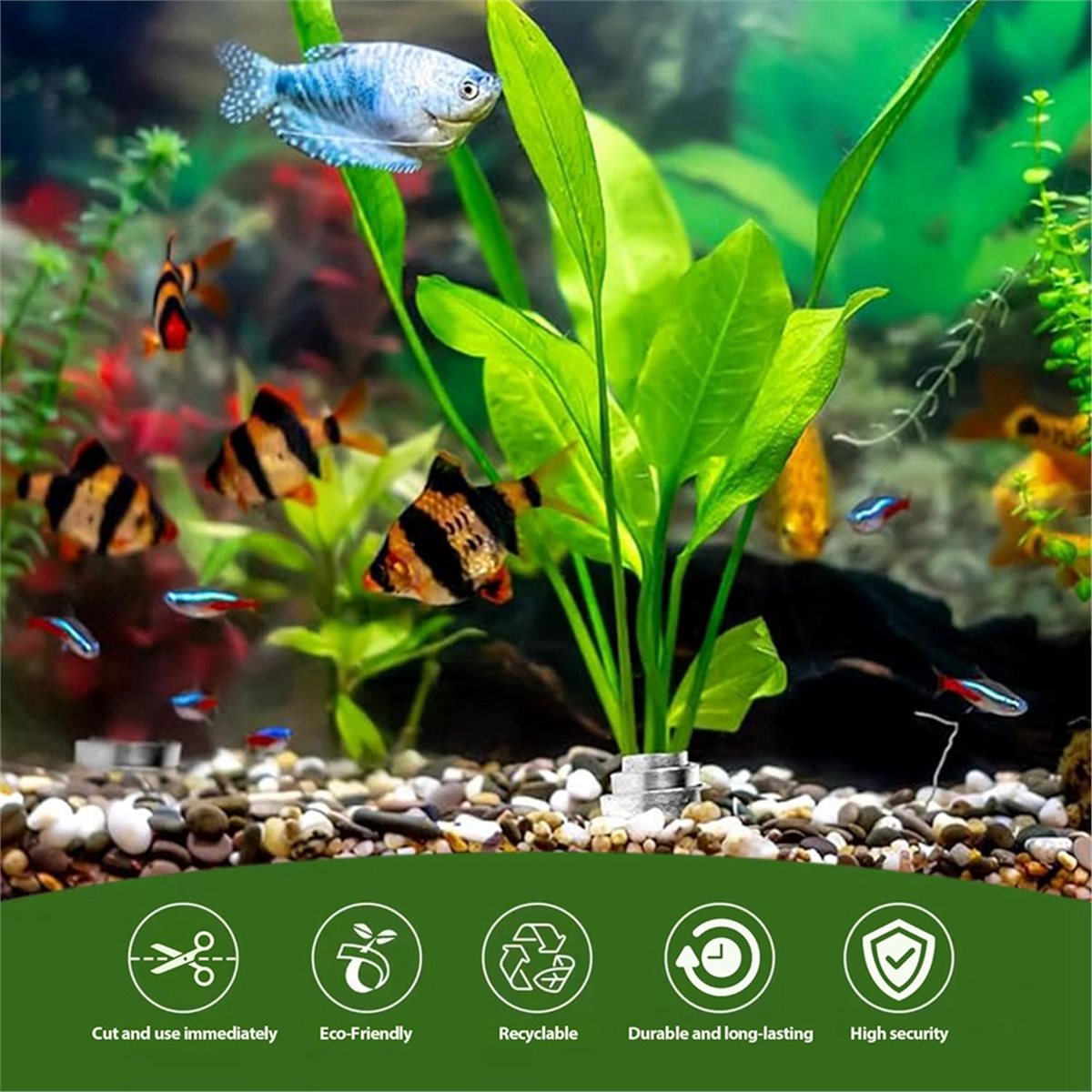 Time Saving Aquarium Plant Wei - огляд і ціна Live Plant Aquarium