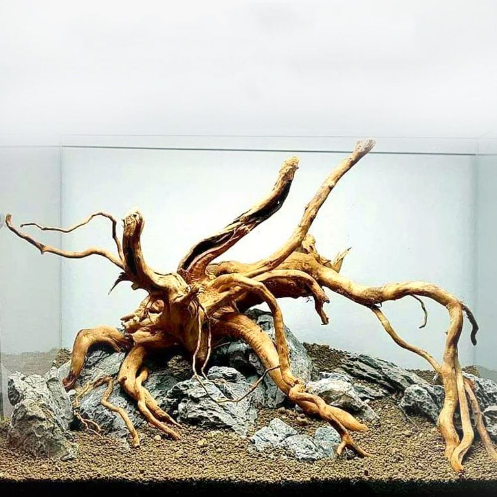 20-25CM Large Aquarium Driftwo - огляд і ціна Aquarium Plants Live
