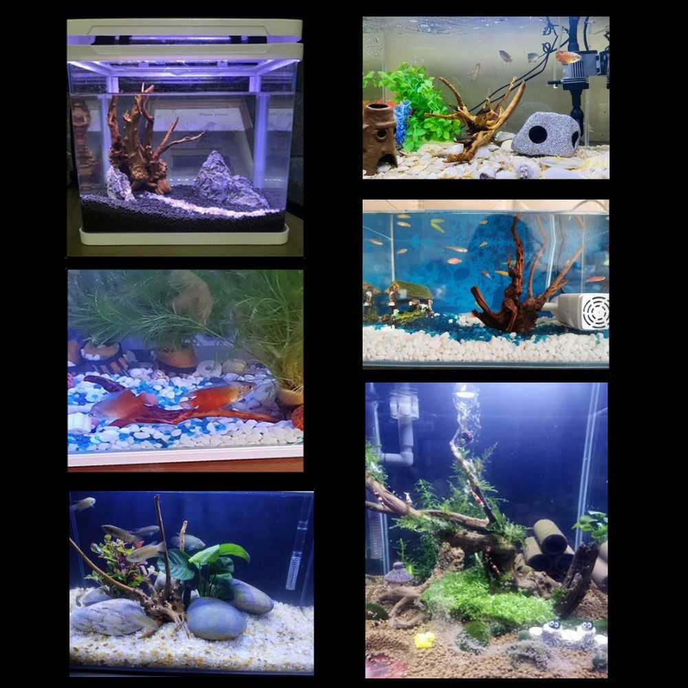 20-25CM Large Aquarium Driftwo - огляд і ціна Aquarium Plants Live