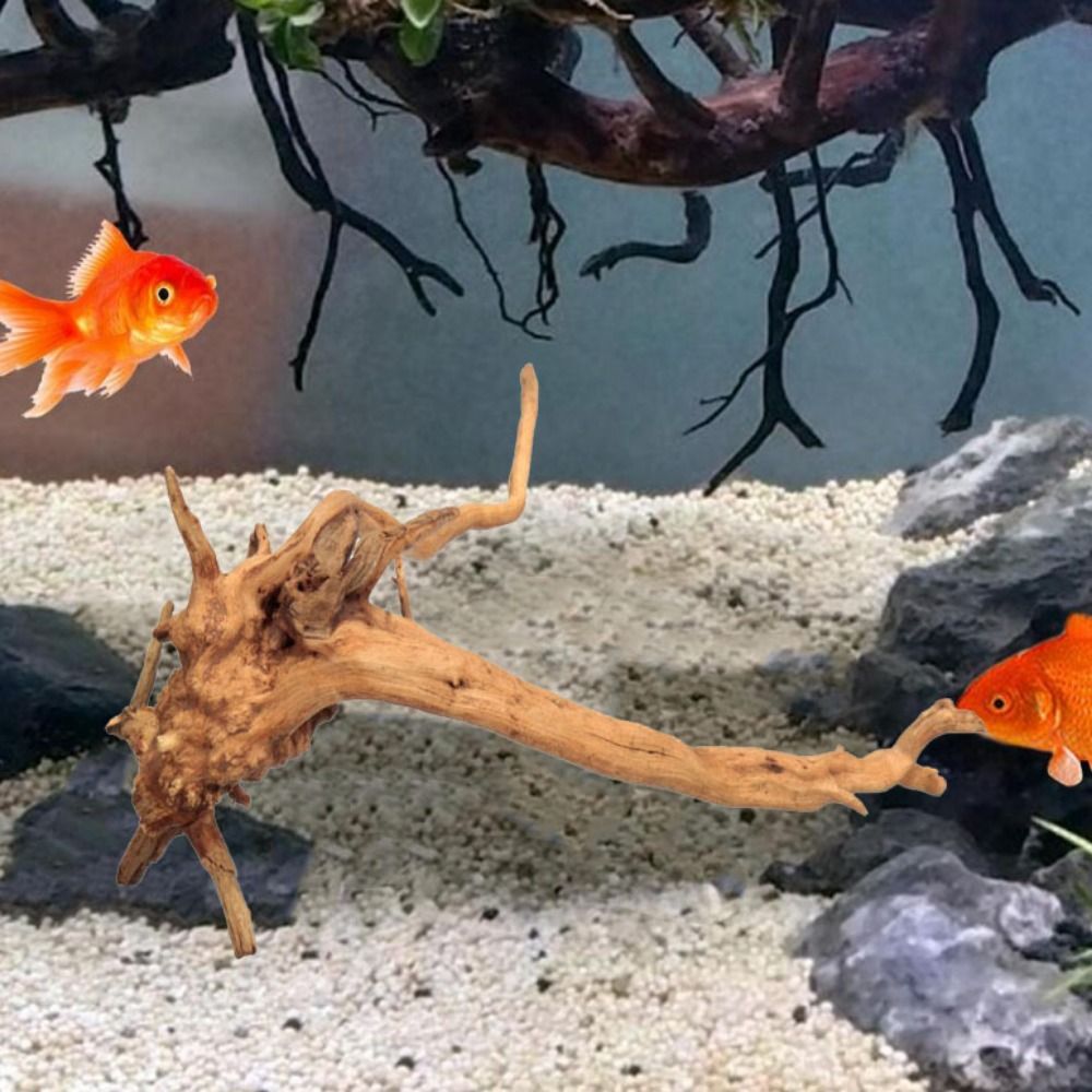 20-25CM Large Aquarium Driftwo - огляд і ціна Aquarium Plants Live