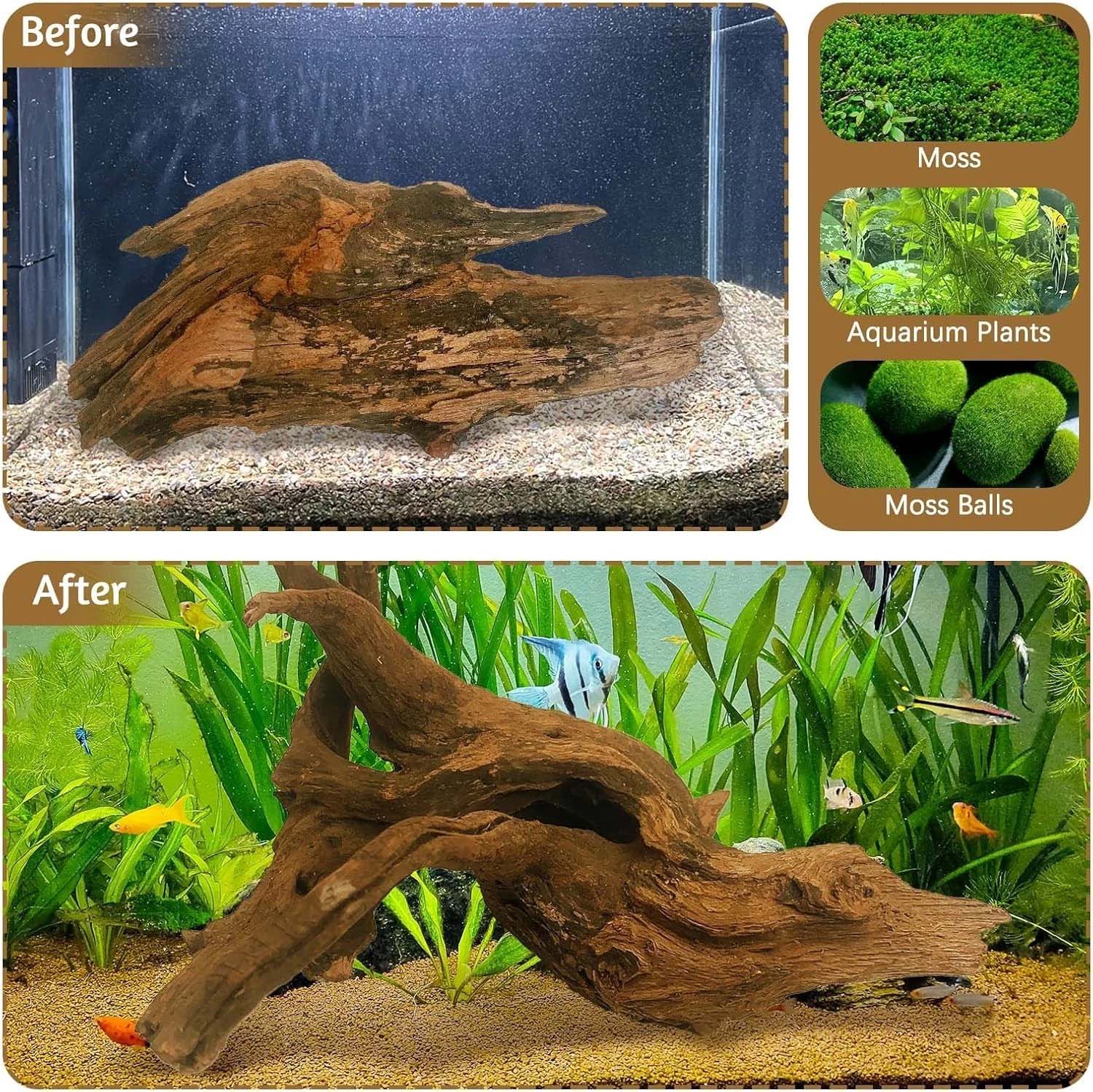 15-20CM 1Pc Natural Driftwood  - огляд і ціна Aquarium Moss