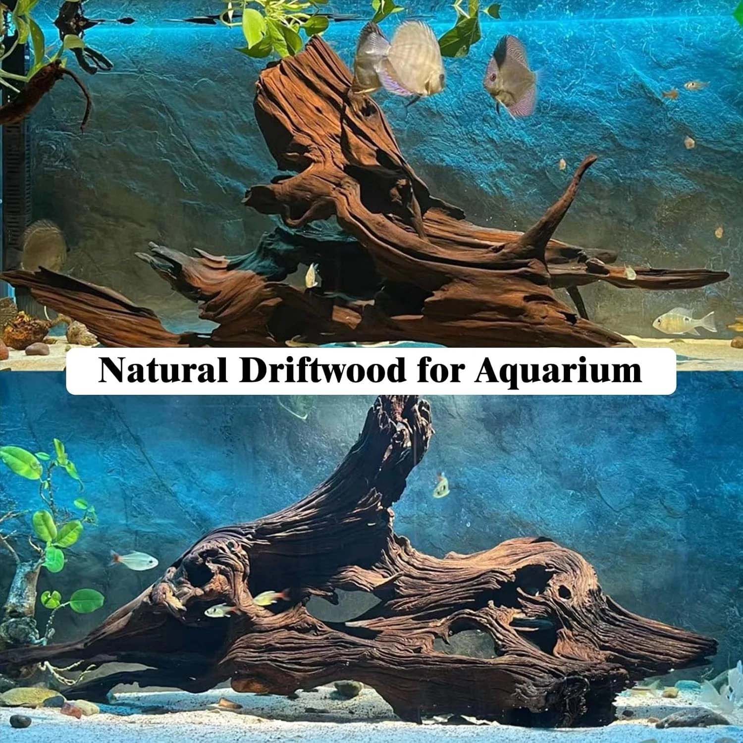 15-20CM 1Pc Natural Driftwood  - огляд і ціна Aquarium Moss