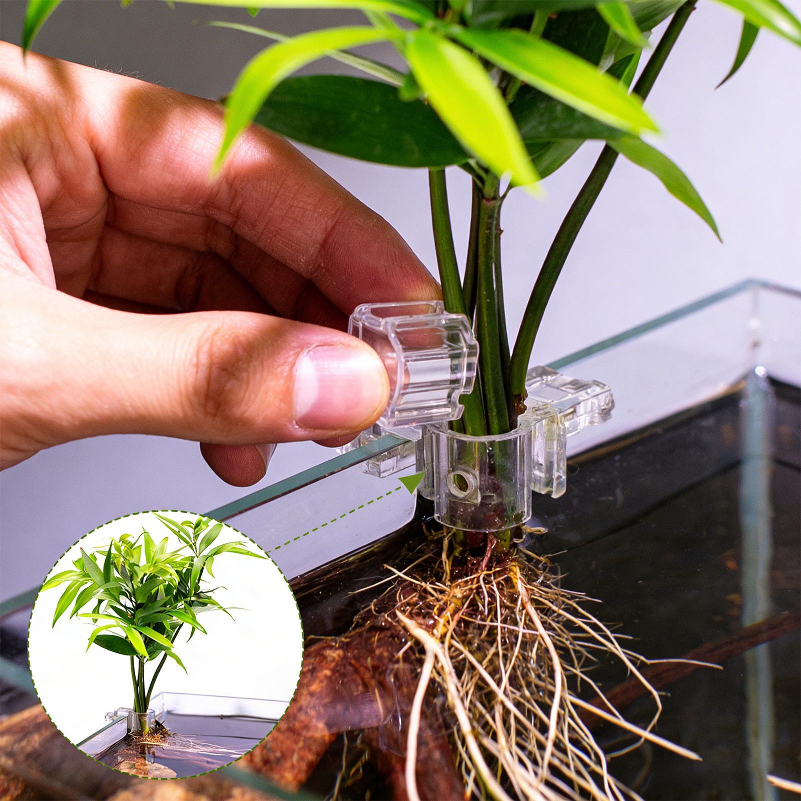 Mini Fish Tank Planter Pot 6Pc - огляд і ціна Aquarium Fertilizer
