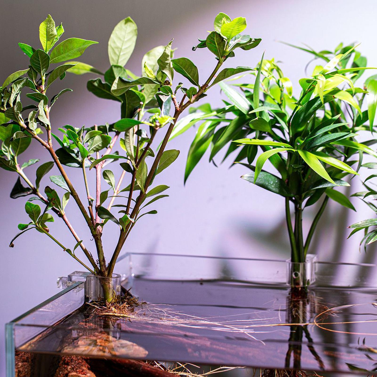 Mini Fish Tank Planter Pot 6Pc - огляд і ціна Aquarium Fertilizer
