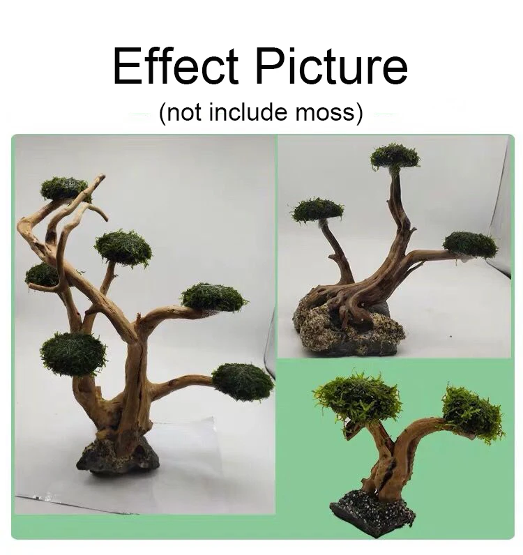 Aquarium Driftwood Landscaping - огляд і ціна Aquarium Moss