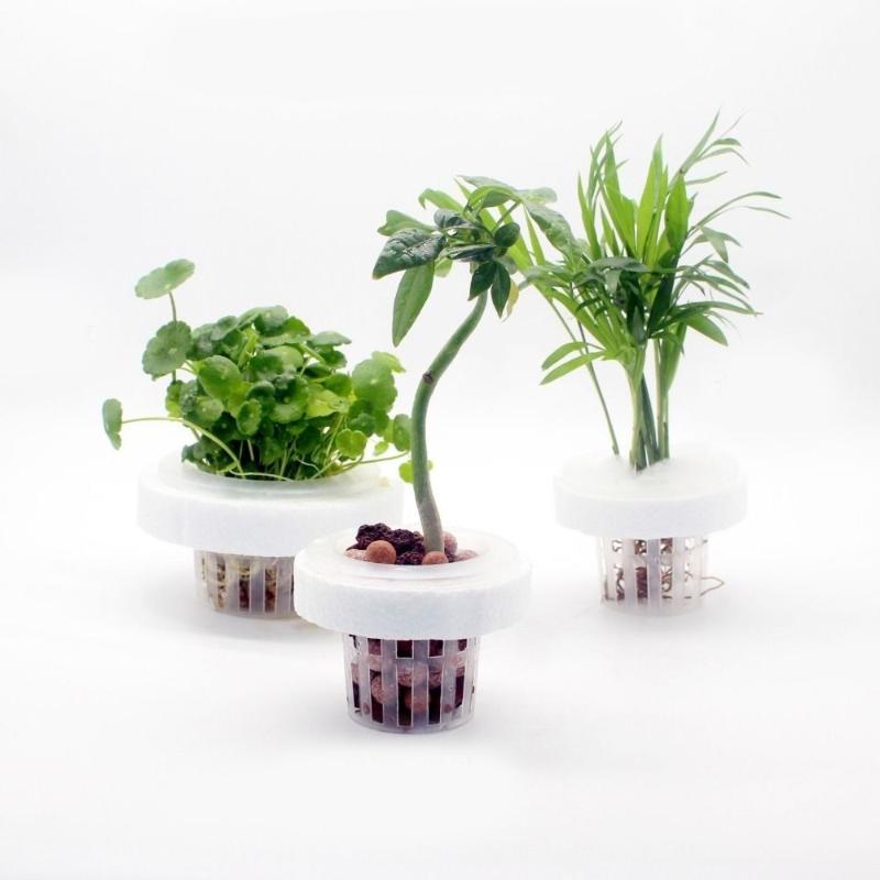 Floating Aquatic Plant Basket  - огляд і ціна Aquarium Plant Holder