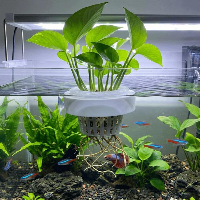 Floating Aquatic Plant Basket  - огляд і ціна Aquarium Plant Holder