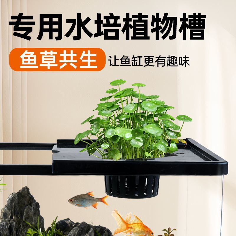Fish tank living room with aqu - огляд і ціна Live Plant Aquarium