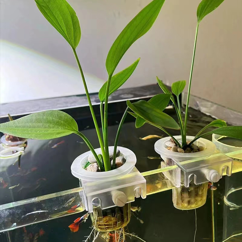 Aquarium Planting Basket Hydro - огляд і ціна Aquarium Plants Live