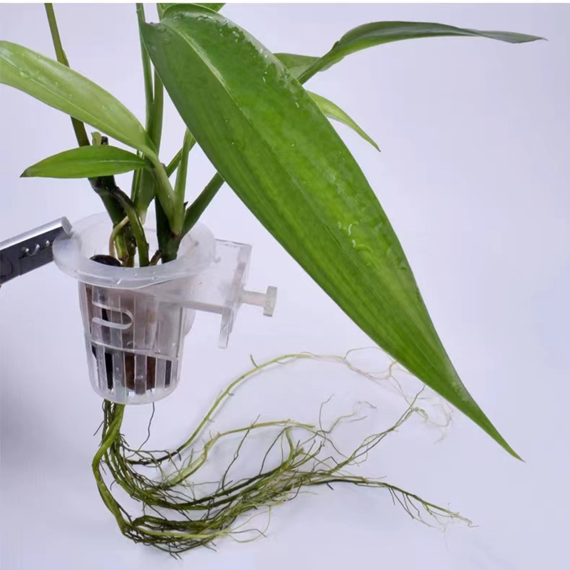 Aquarium Planting Basket Hydro - огляд і ціна Aquarium Plants Live