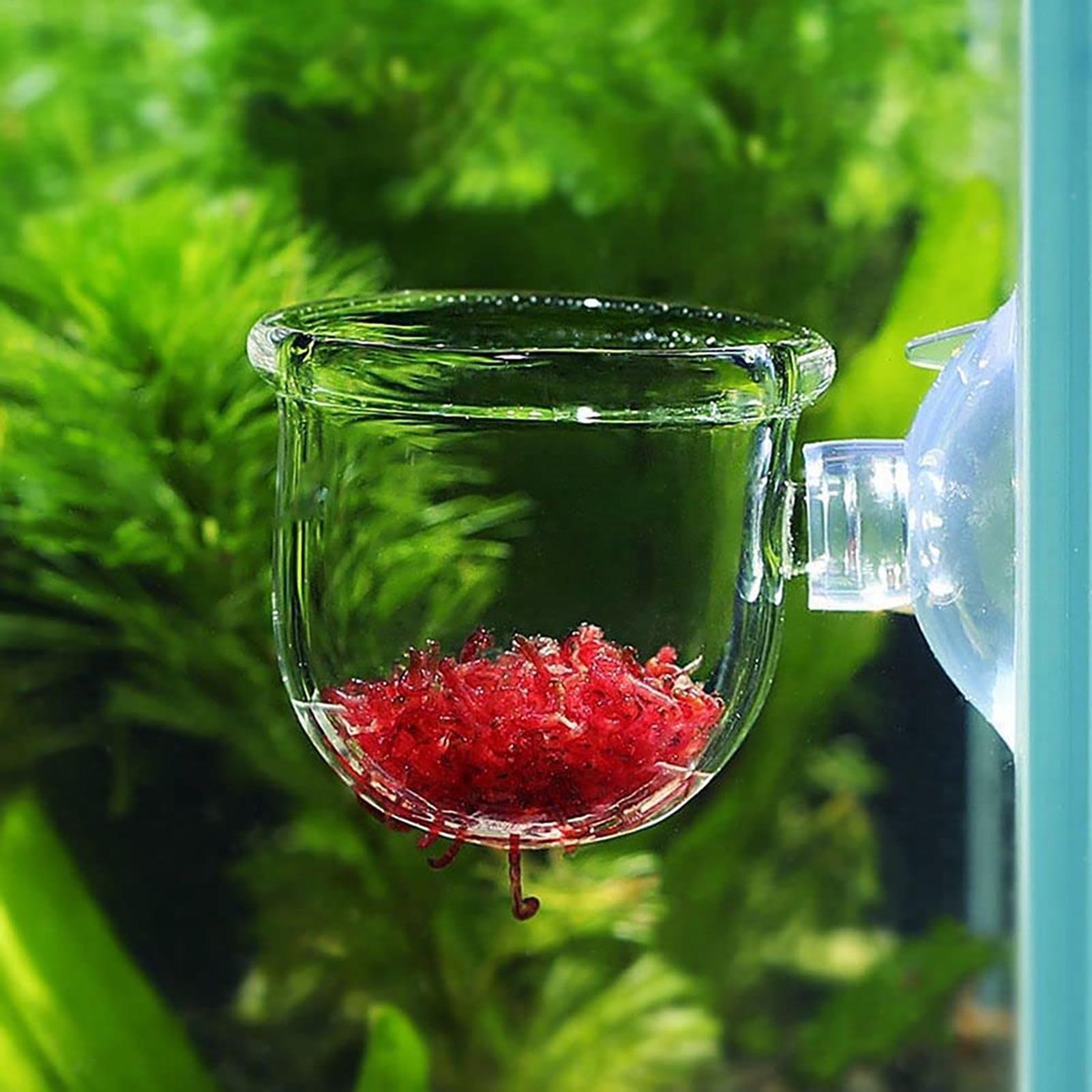 Acrylic Aquatic Plant Cup Aqua - огляд і ціна Aquarium Plant Holder