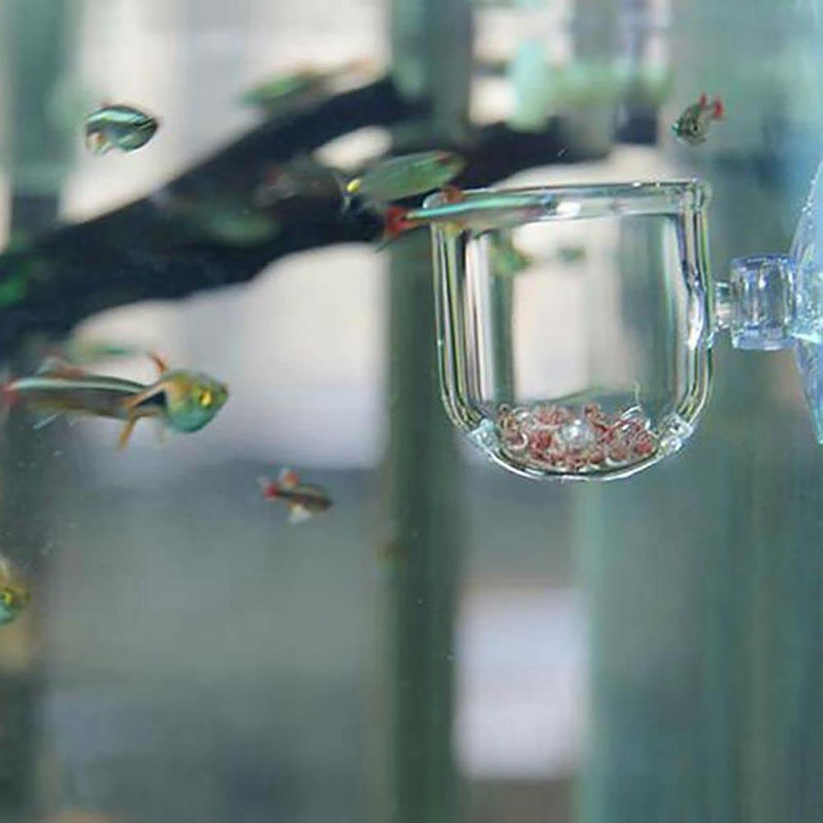 Acrylic Aquatic Plant Cup Aqua - огляд і ціна Aquarium Plant Holder