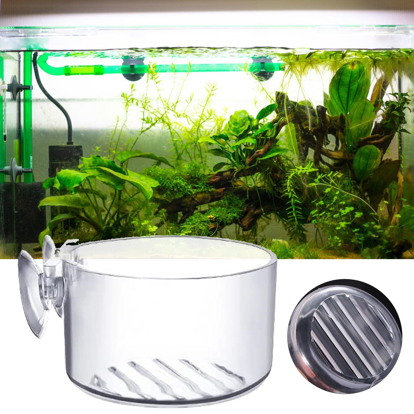 Acrylic Aquatic Plant Cup Aqua - огляд і ціна Aquarium Plant Holder